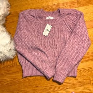 ASTR Cropped Sweater